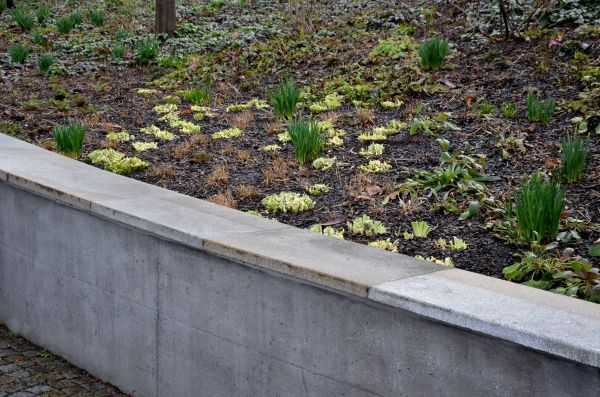 Cost of Concrete Wall Construction in Louisville