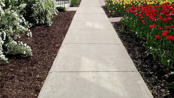 Cost of Cement Sidewalk Installation in Louisville