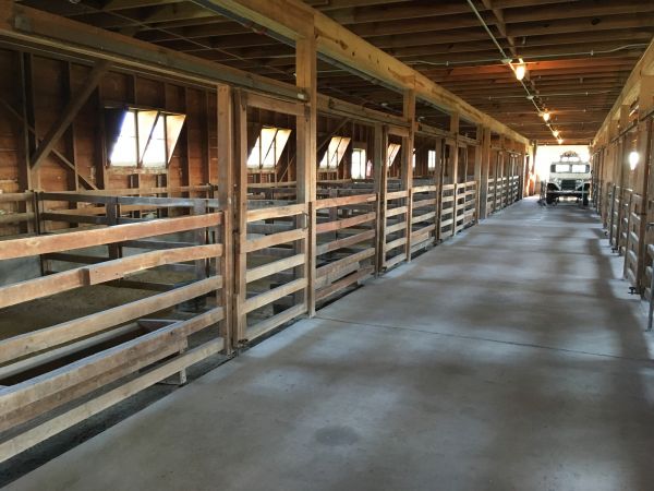 Cost of Barn Floor Pouring in Louisville