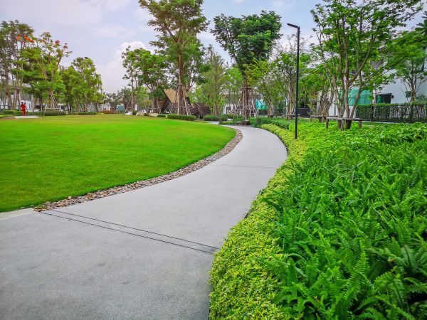 Cost of Cement Walkway Service in Louisville