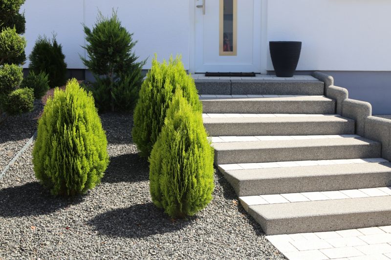 Front Entrance Steps Service